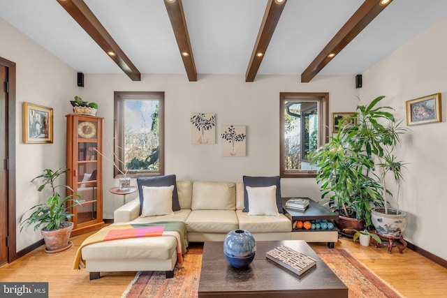 living room featuring light wood-type flooring, plenty of natural light, and beam ceiling