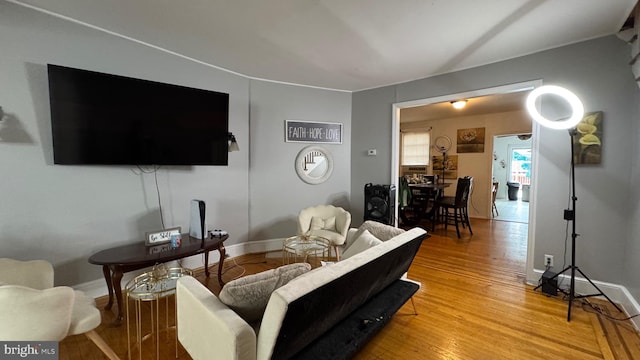 living room with wood-type flooring