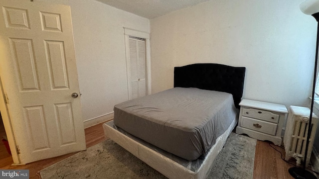 bedroom featuring wood-type flooring, radiator heating unit, and a closet