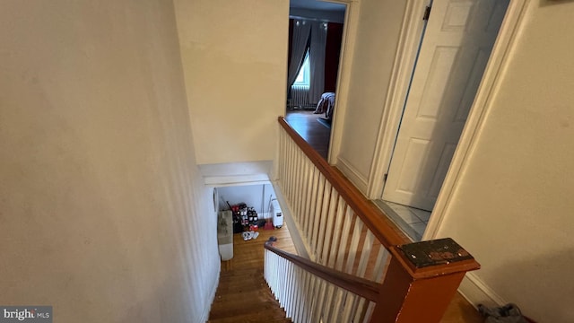 stairway featuring hardwood / wood-style flooring