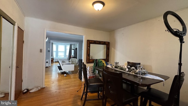 dining space featuring radiator heating unit and light wood-type flooring