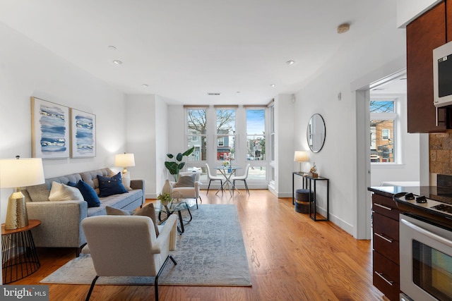 living room featuring light hardwood / wood-style flooring