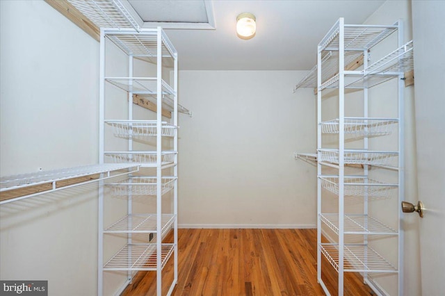 spacious closet featuring wood finished floors