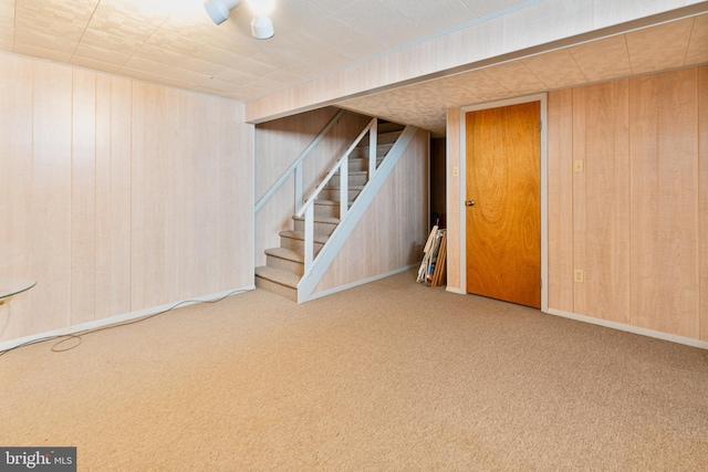 basement featuring wooden walls and carpet