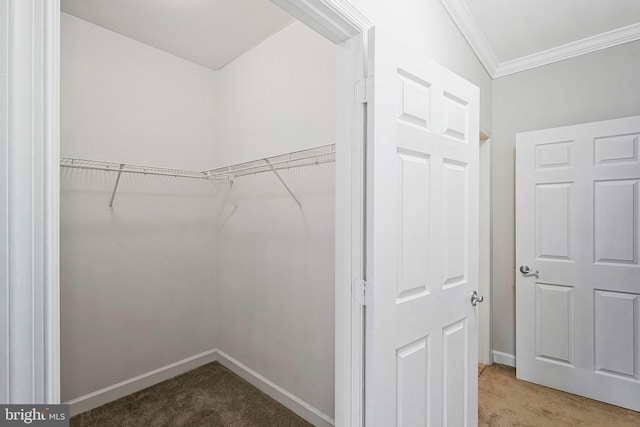 spacious closet with carpet