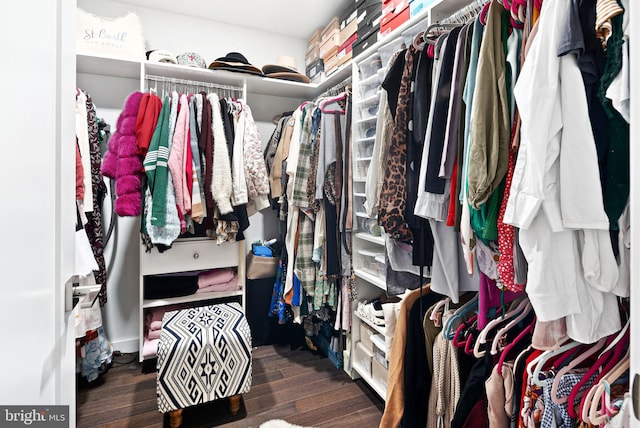 spacious closet featuring dark wood-type flooring