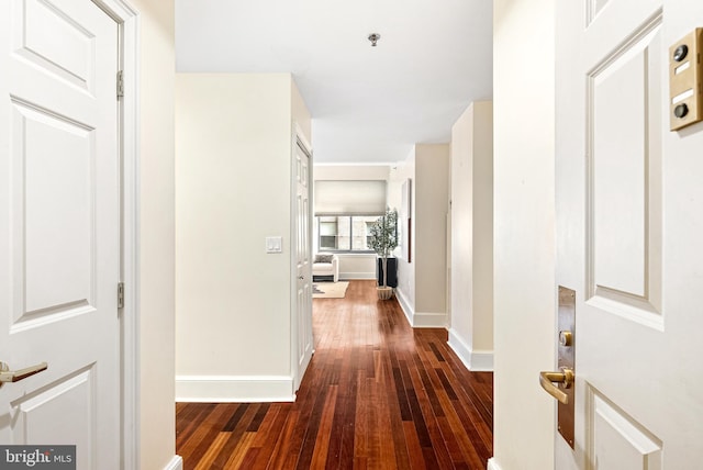 hallway with dark wood-type flooring