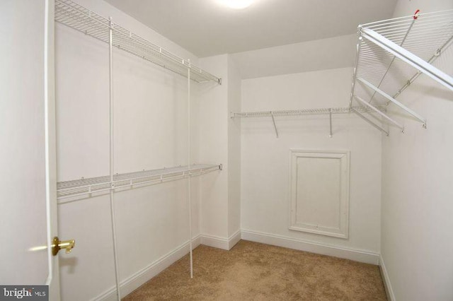 spacious closet featuring light carpet