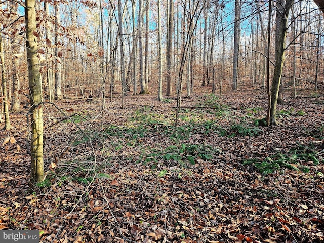 Waugh Rd, Unionville VA, 22567 land for sale