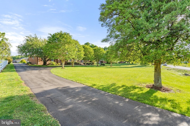 surrounding community featuring a lawn