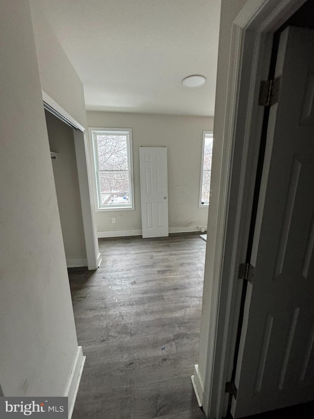 hallway with hardwood / wood-style flooring and a wealth of natural light