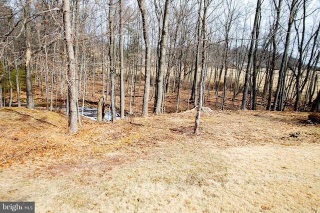 view of landscape with a view of trees