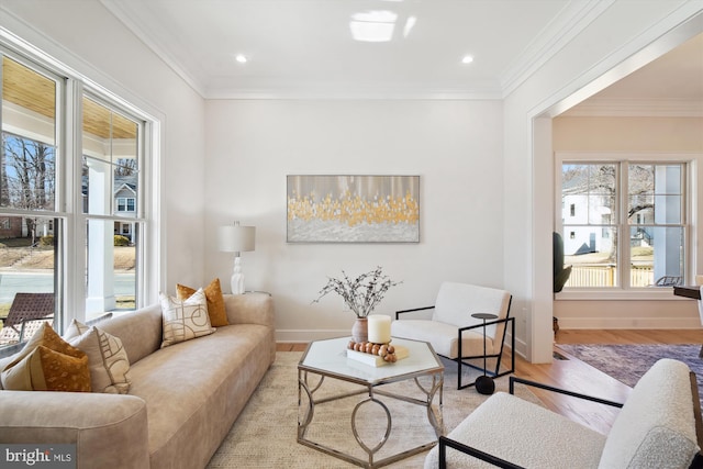 living room with crown molding and light hardwood / wood-style flooring