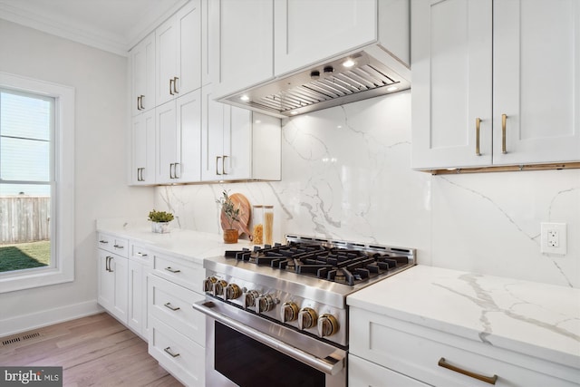 kitchen with ventilation hood, light stone countertops, plenty of natural light, and high end range