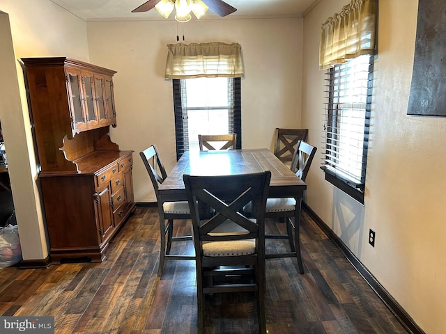 dining area with ceiling fan and dark hardwood / wood-style floors