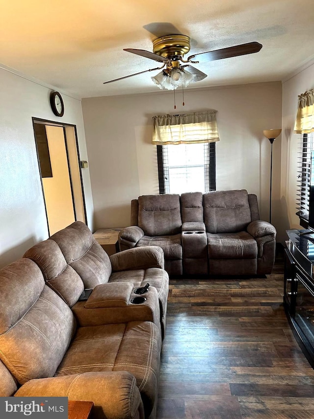 living room featuring ceiling fan, dark wood-type flooring, and a textured ceiling