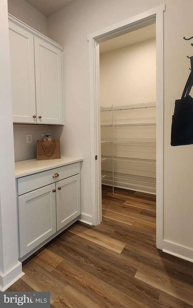 00 Sadie, Arnold, MD 21012 - view of pantry