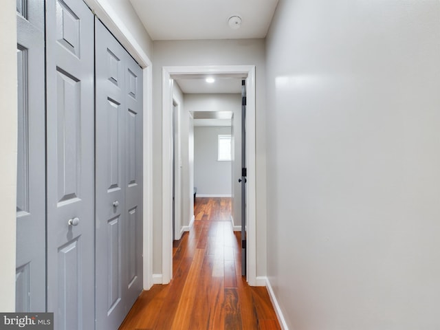 hall with hardwood / wood-style flooring