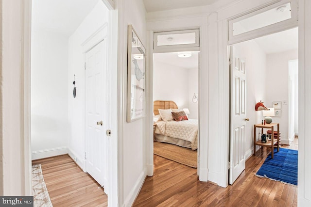 hallway featuring wood-type flooring