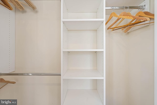 view of spacious closet