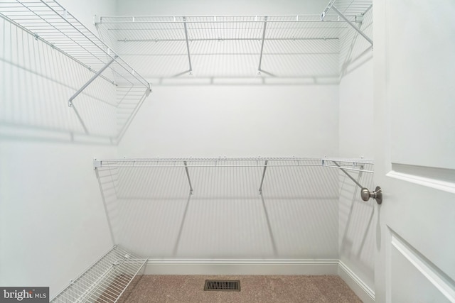 spacious closet featuring carpet flooring