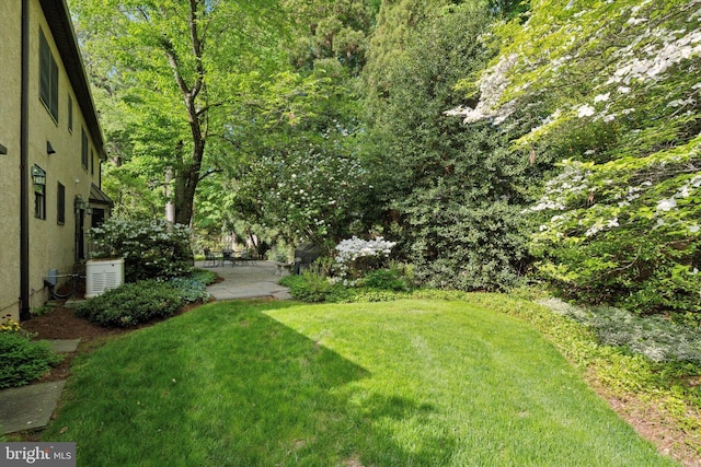 view of yard featuring a patio area