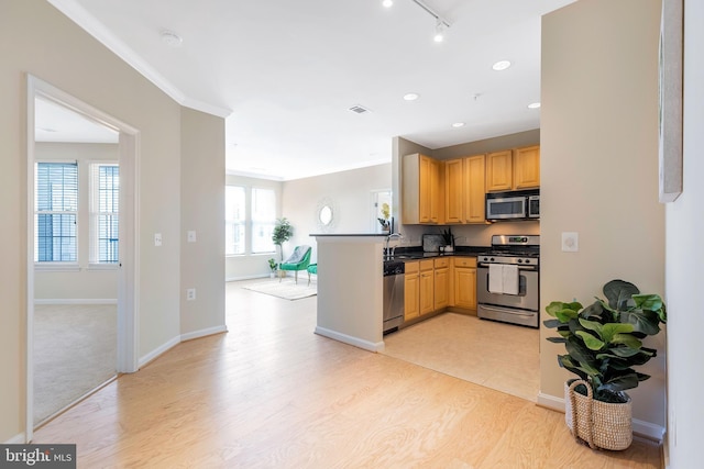 kitchen with a healthy amount of sunlight, appliances with stainless steel finishes, kitchen peninsula, and sink