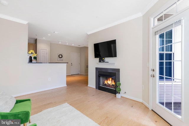 living room featuring crown molding and light wood-type flooring