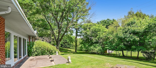 view of yard with a patio