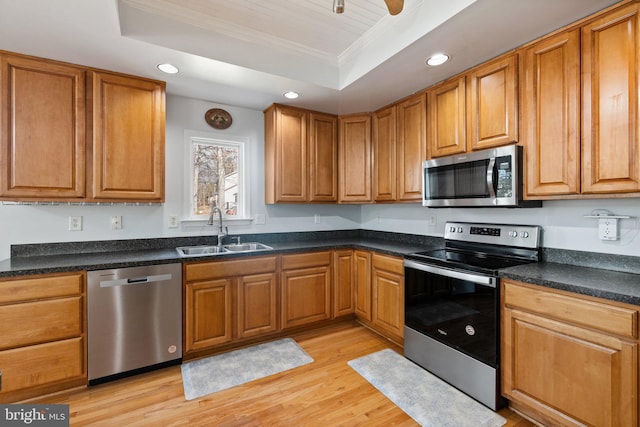 kitchen with light wood finished floors, a tray ceiling, ornamental molding, a sink, and appliances with stainless steel finishes