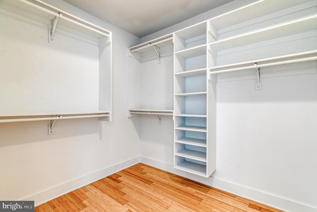 walk in closet featuring wood-type flooring