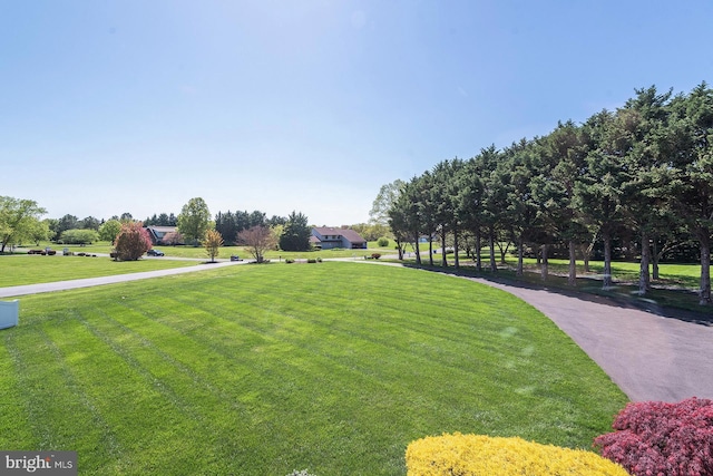 view of community featuring a yard