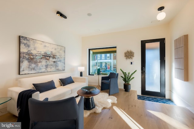 living room featuring wood-type flooring