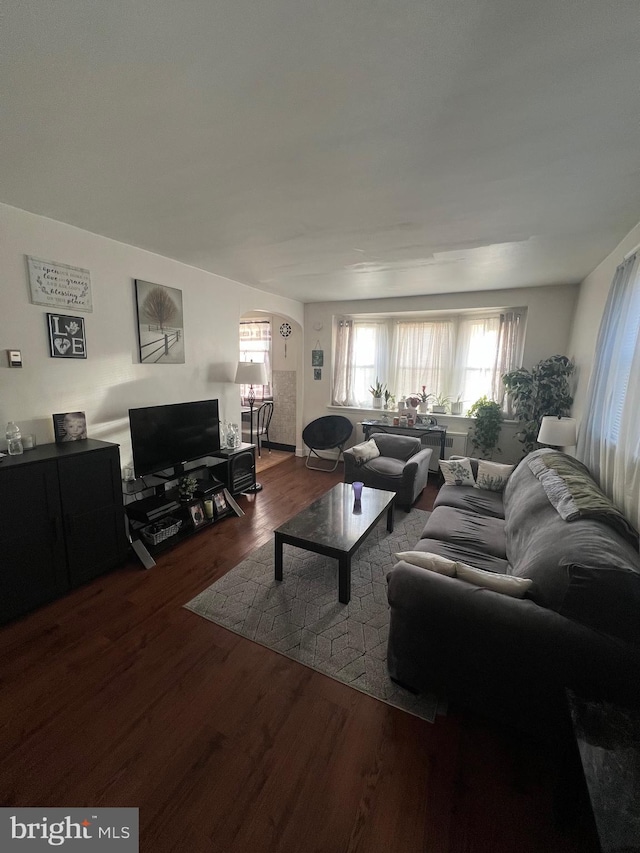 living room with hardwood / wood-style flooring