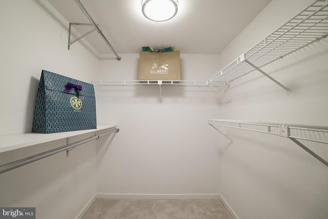 walk in closet with light carpet