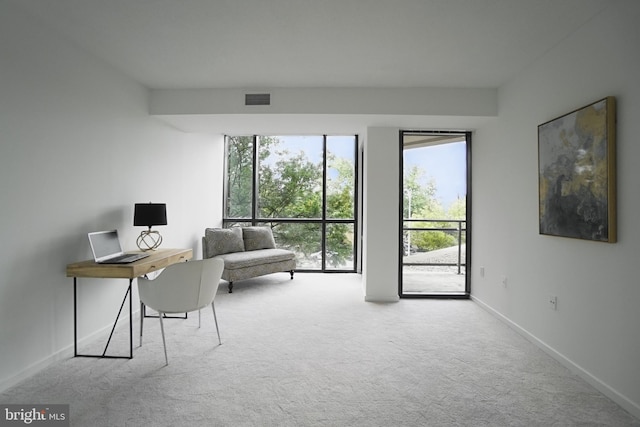 office with light colored carpet