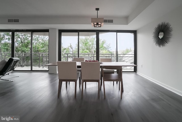 dining area featuring a healthy amount of sunlight and dark wood-type flooring