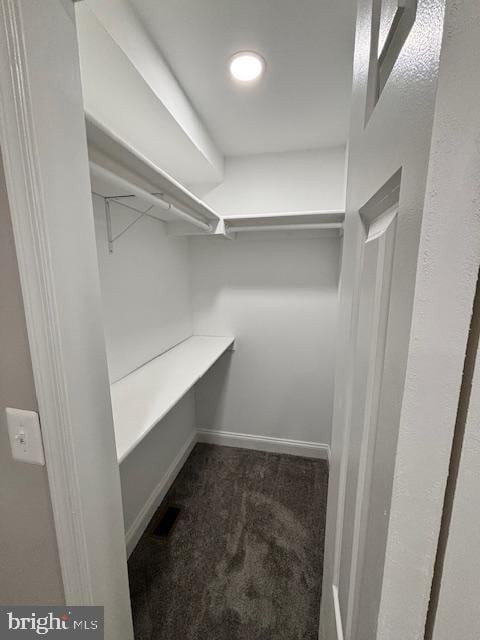 walk in closet featuring carpet