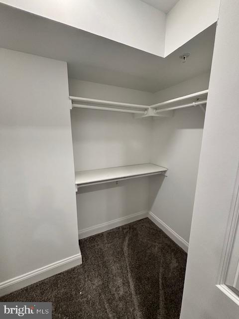 walk in closet with dark carpet