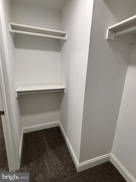 spacious closet featuring carpet floors