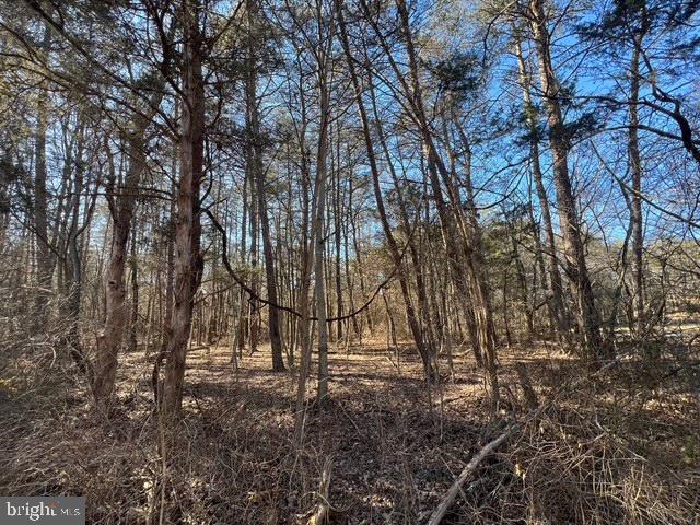 Listing photo 2 for Hoyles Mill Rd, Boyds MD 20841