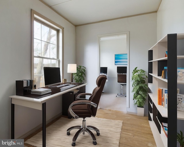 23338 Park Ave, Georgetown, DE 19947 - office space with ornamental molding and light hardwood / wood-style flooring