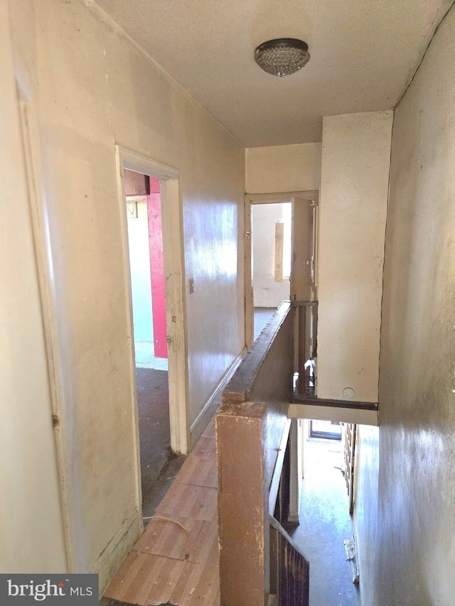 hallway featuring wood finished floors