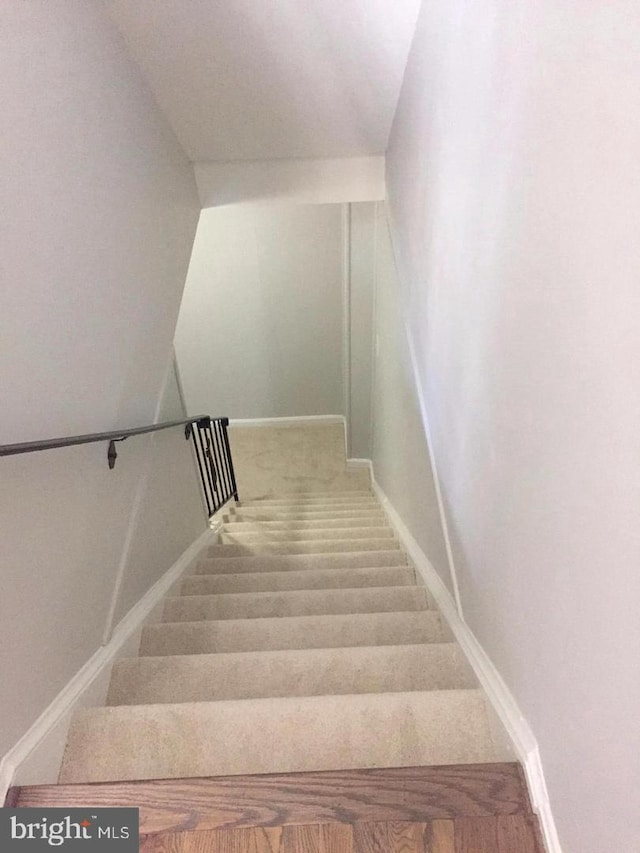 staircase featuring hardwood / wood-style flooring