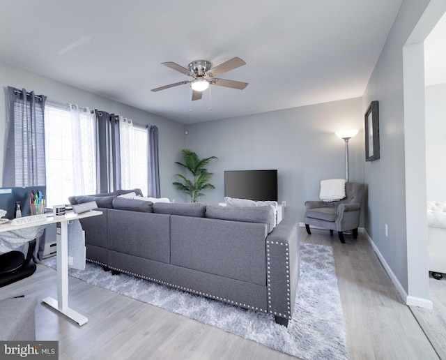 living room with ceiling fan and light wood-type flooring