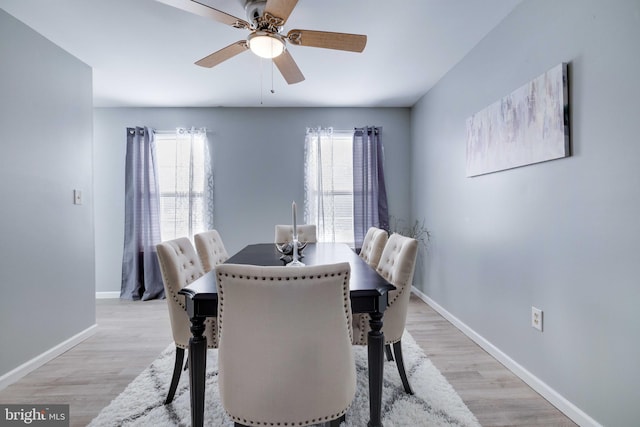 dining room with ceiling fan, light hardwood / wood-style flooring, and a healthy amount of sunlight