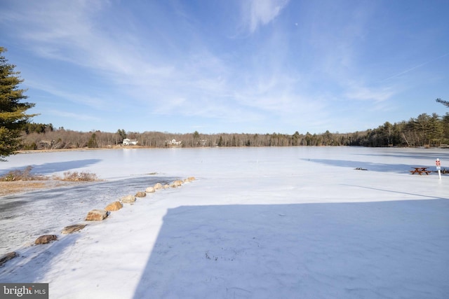 view of yard featuring a water view