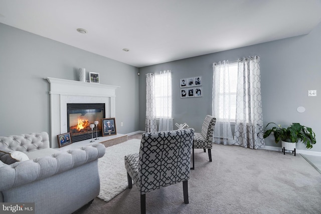 living room with carpet floors