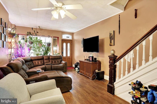 living room with hardwood / wood-style floors, crown molding, and ceiling fan