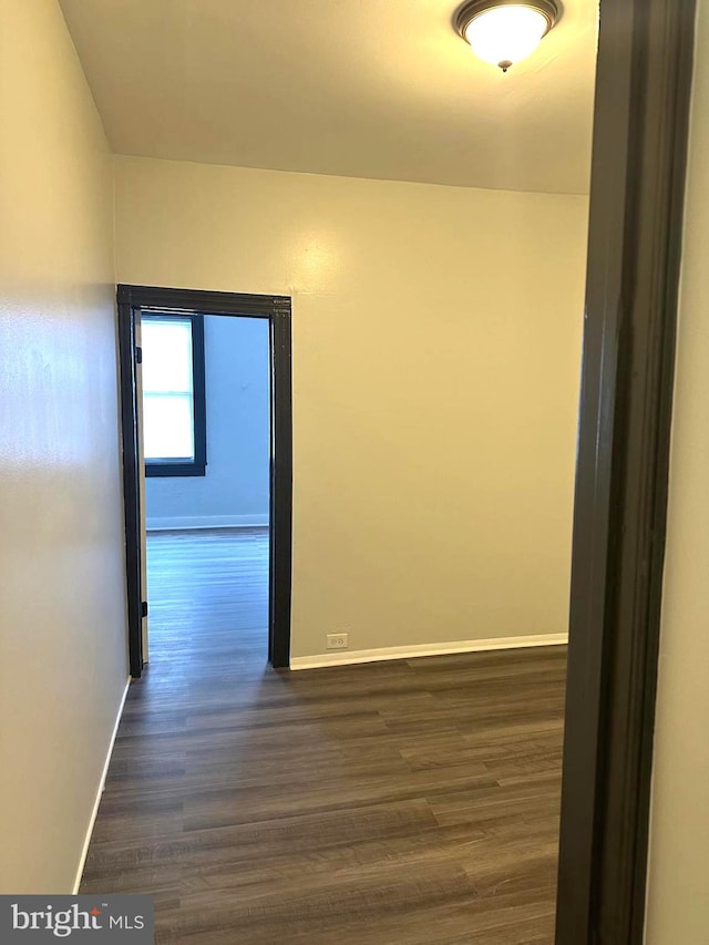 hall featuring dark wood-type flooring